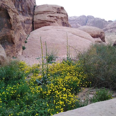 Welcome To Wadi Rum Camp Hotel Екстериор снимка